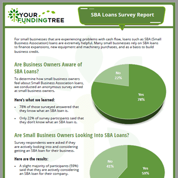 SBA loans survey report